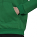 Vyriškas Džemperis Adidas Entrada 22 Sweat Hoodie Žalias HI2141
